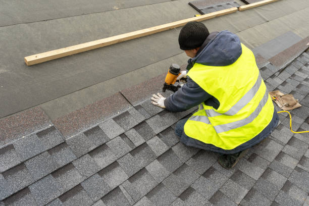Best Shingle Roofing Installation  in Michigan City, IN