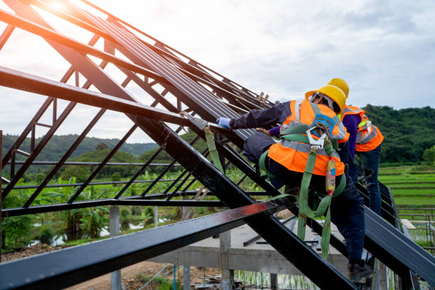 Best Roof Replacement Cost  in Michigan City, IN
