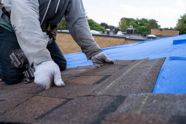 Best Metal Roofing Contractor  in Michigan City, IN