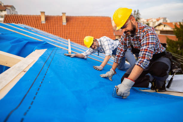 Best Roof Leak Repair  in Michigan City, IN
